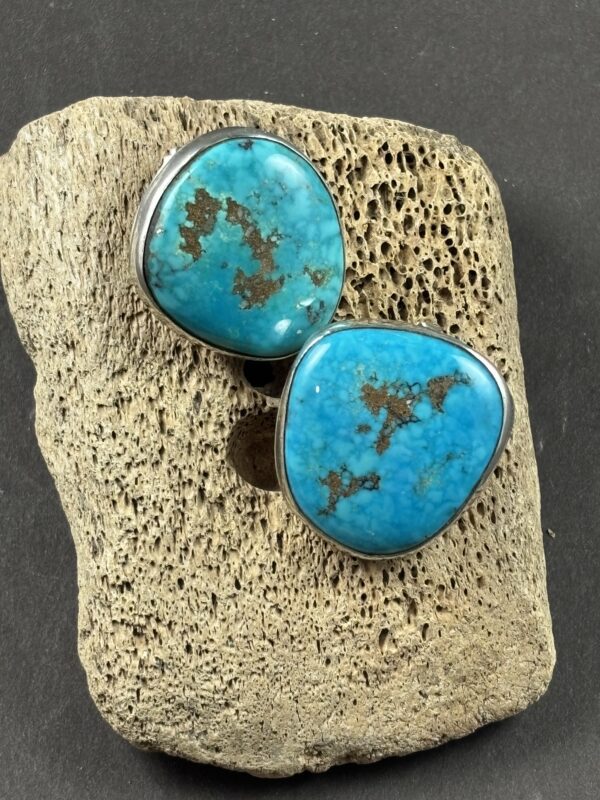 Large Turquoise Earrings