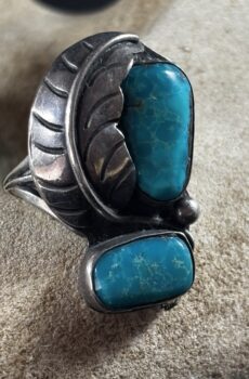 Double Turquoise Ring in Silver