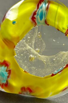 Yellow Glass Frog
