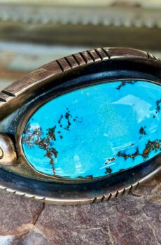 Persian Turquoise