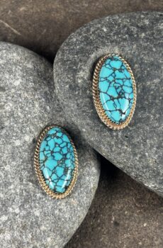 Spiderweb Turquoise Earrings in 14k
